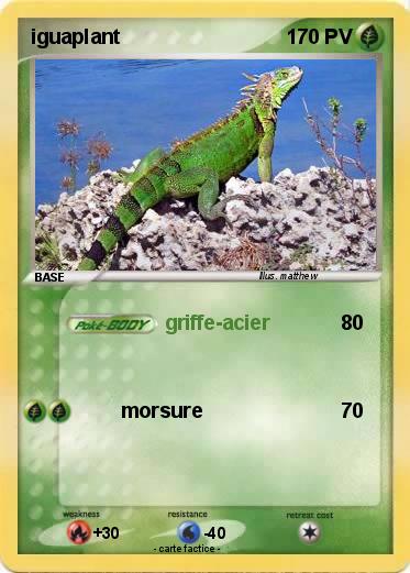 Pokemon iguaplant
