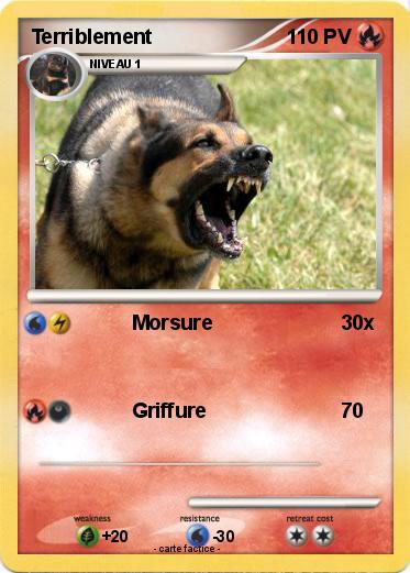Pokemon Terriblement