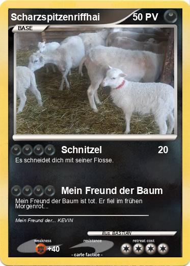 Pokemon Scharzspitzenriffhai