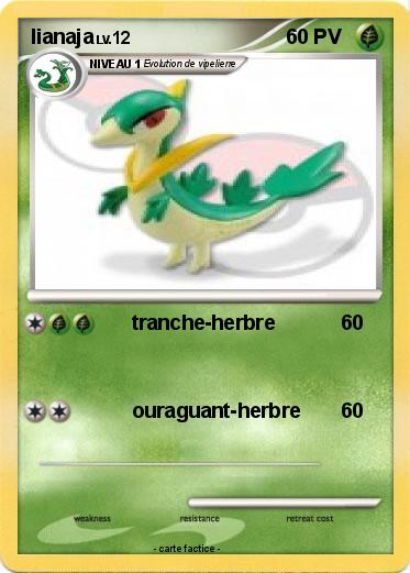 Pokemon lianaja