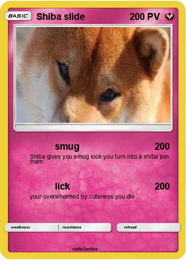 Pokemon Shiba slide