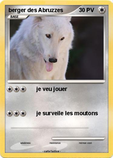 Pokemon berger des Abruzzes