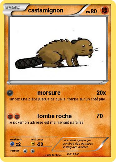 Pokemon castamignon