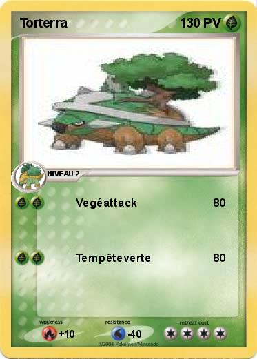 Pokemon Torterra