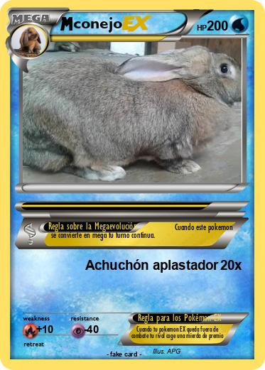 Pokemon conejo
