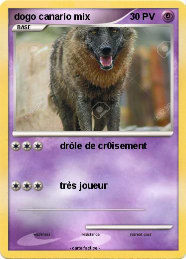 Pokemon dogo canario mix