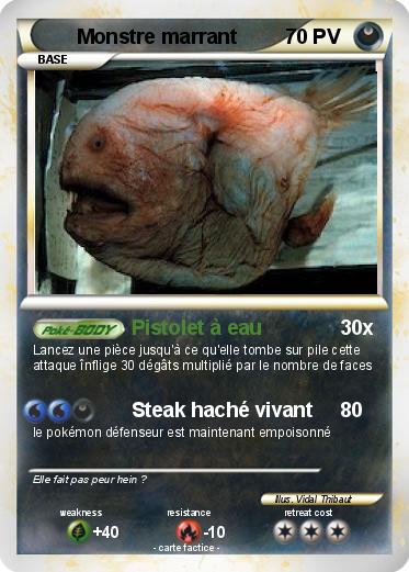 Pokemon Monstre marrant