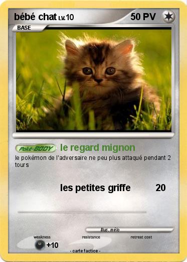 Pokemon bébé chat