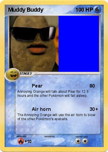 Pokemon Muddy Buddy