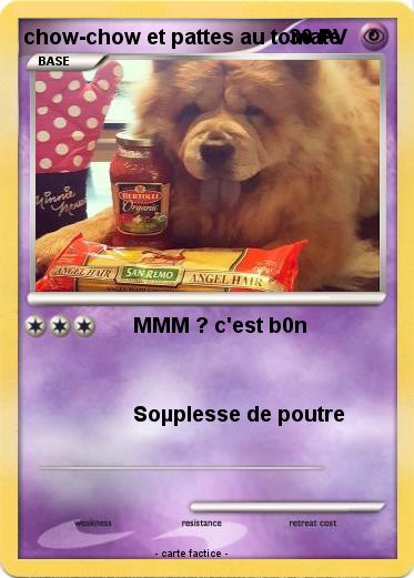 Pokemon chow-chow et pattes au tomate
