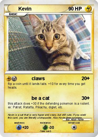 Pokemon Kevin