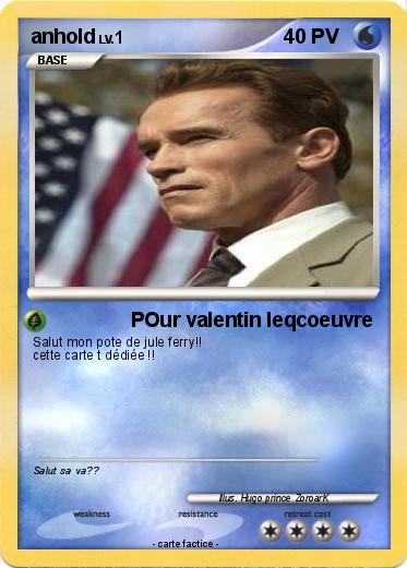 Pokemon anhold