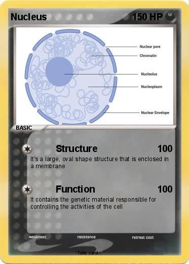 Pokemon Nucleus