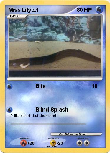 Pokemon Miss Lily