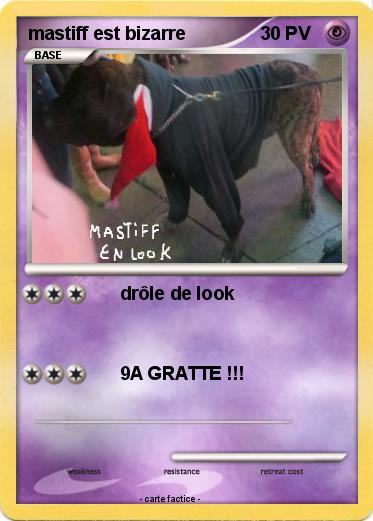 Pokemon mastiff est bizarre