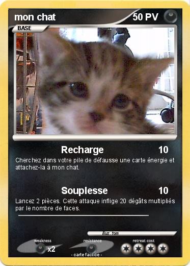 Pokemon mon chat