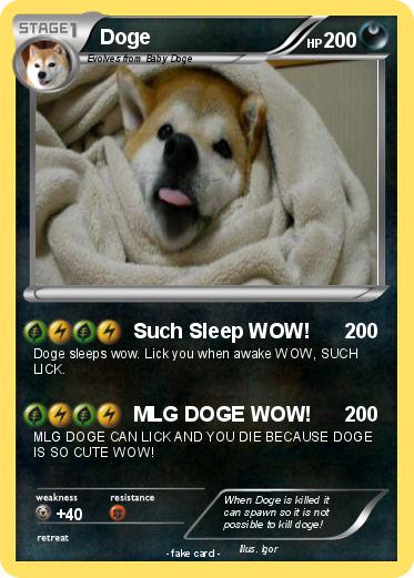 Pokemon Doge