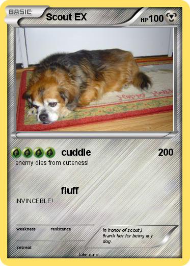 Pokemon Scout EX