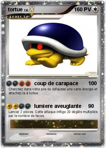 Pokemon tortue