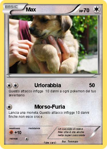 Pokemon Max