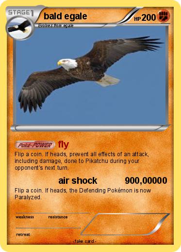 Pokemon bald egale