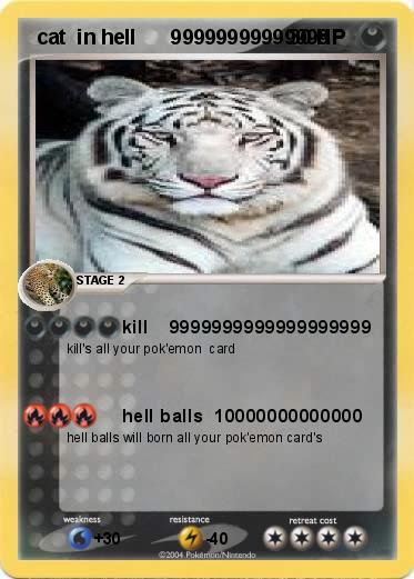 Pokemon  cat  in hell      99999999999999