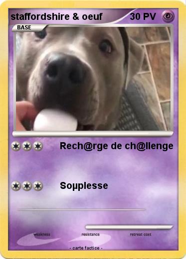 Pokemon staffordshire & oeuf