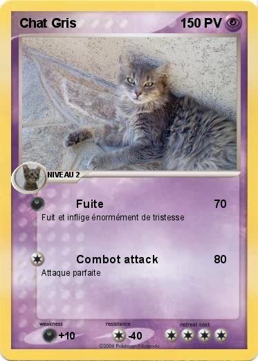 Pokemon Chat Gris