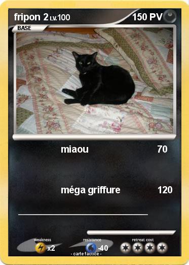 Pokemon fripon 2