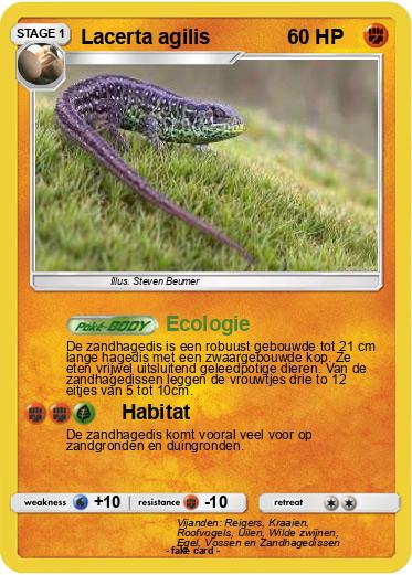 Pokemon Lacerta agilis