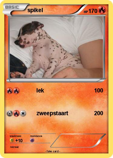 Pokemon spikel