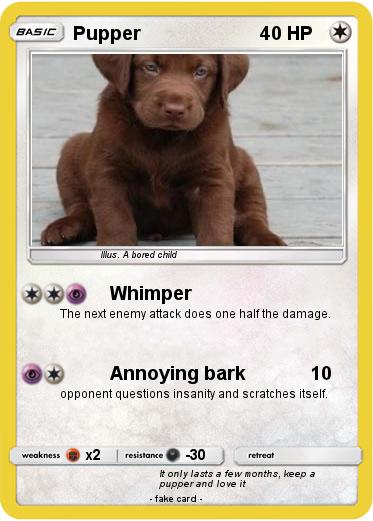 Pokemon Pupper