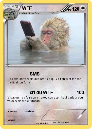 Pokemon WTF