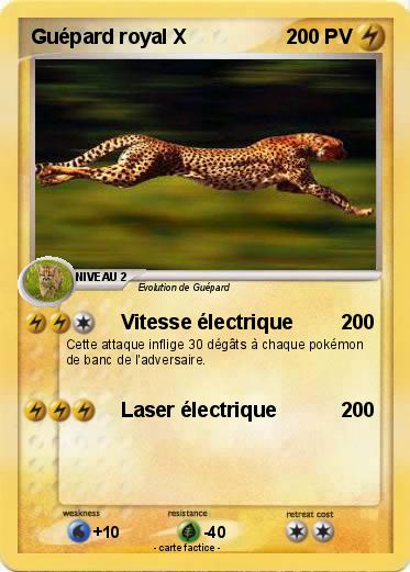 Pokemon Guépard royal X