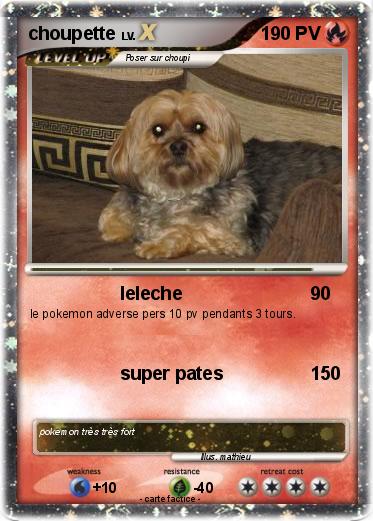Pokemon choupette