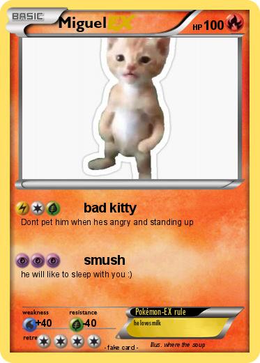 Pokemon Miguel