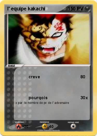 Pokemon l' equipe kakachi