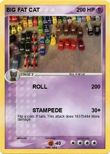 Pokemon BIG FAT CAT