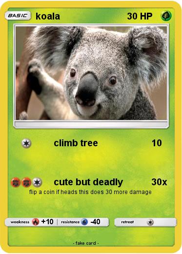 Pokemon koala