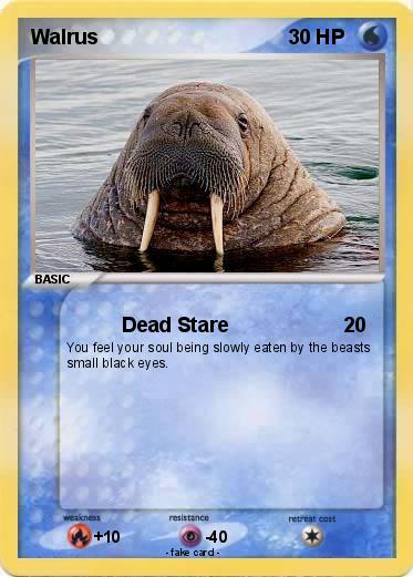 Pokemon Walrus