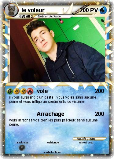 Pokemon le voleur
