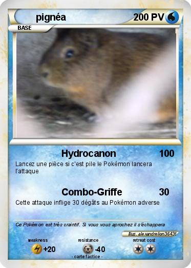 Pokemon pignéa