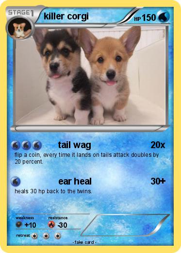 Pokemon killer corgi