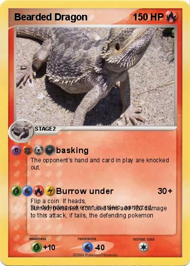 Pokemon Bearded Dragon