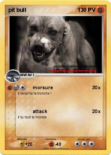 Pokemon pit bull