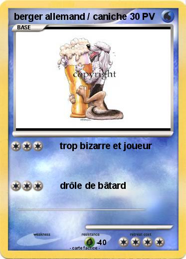 Pokemon berger allemand / caniche