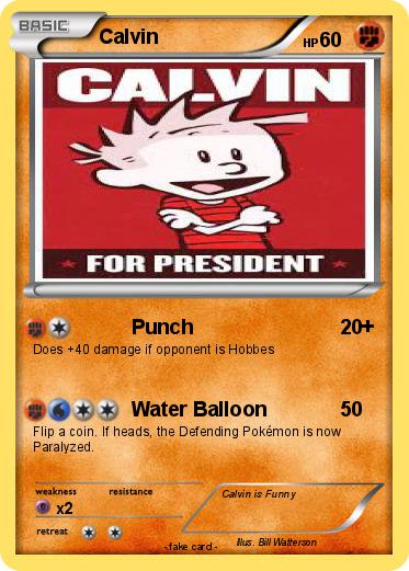 Pokemon Calvin