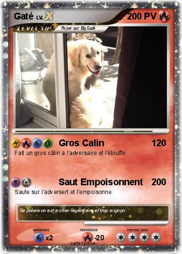 Pokemon Gaté