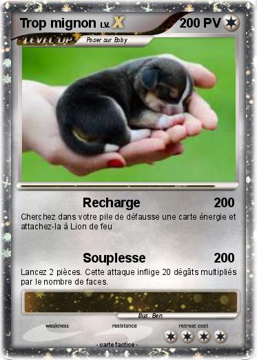 Pokemon Trop mignon