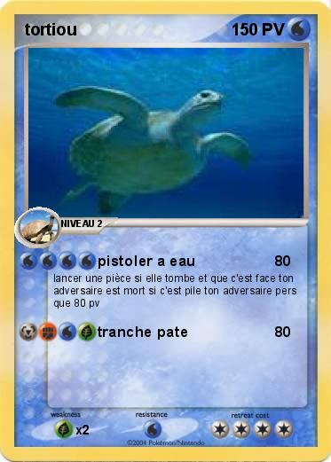 Pokemon tortiou